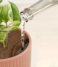 Load image into Gallery viewer, Striped Rose Pink stand:all
