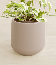 Load image into Gallery viewer, Eternal Gray stand:all
