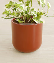 Load image into Gallery viewer, Earth Red stand:all
