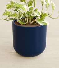 Load image into Gallery viewer, Twilight Blue stand:all
