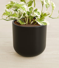 Load image into Gallery viewer, Stone Black stand:all
