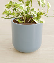 Load image into Gallery viewer, Misty Blue stand:all
