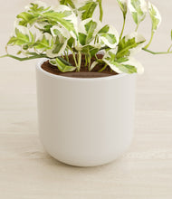 Load image into Gallery viewer, Cotton White stand:all
