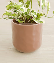 Load image into Gallery viewer, Hammered Peach Pink stand:all
