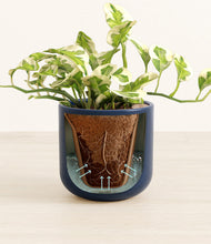 Load image into Gallery viewer, Twilight Blue stand:all
