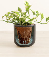 Load image into Gallery viewer, Stone Black stand:all
