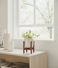 Load image into Gallery viewer, Snowdrift White stand:walnut
