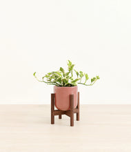 Load image into Gallery viewer, Hammered Rose Pink stand:walnut
