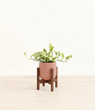 Load image into Gallery viewer, Striped Rose Pink stand:walnut
