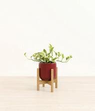 Load image into Gallery viewer, Striped Cherry Red stand:bamboo
