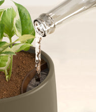 Load image into Gallery viewer, Olive stand:all
