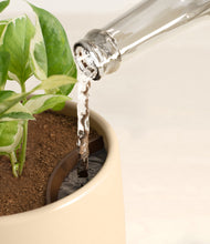 Load image into Gallery viewer, Almond Green stand:all
