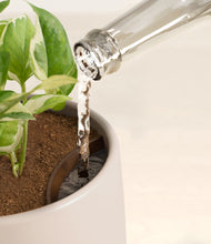 Load image into Gallery viewer, Eternal Gray stand:all
