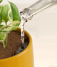 Load image into Gallery viewer, Mustard stand:all
