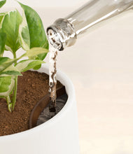 Load image into Gallery viewer, White stand:all
