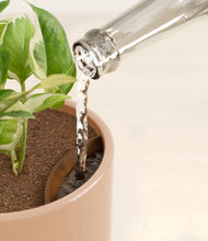 Load image into Gallery viewer, Glossy Pink stand:all
