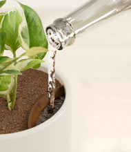 Load image into Gallery viewer, Cotton White stand:all
