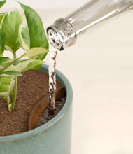 Load image into Gallery viewer, Reactive Aqua stand:all
