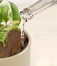 Load image into Gallery viewer, Sage Green stand:all
