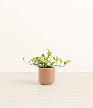 Load image into Gallery viewer, Hammered Peach Pink*****Profile
