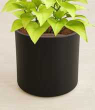 Load image into Gallery viewer, Black stand:all
