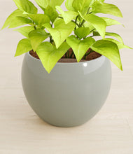 Load image into Gallery viewer, Deep Ocean stand:all
