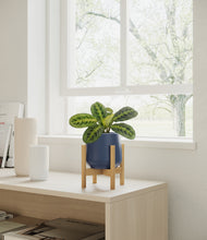 Load image into Gallery viewer, Deep Navy stand:bamboo
