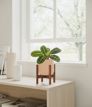 Load image into Gallery viewer, Gentle Pink stand:walnut
