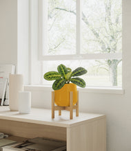 Load image into Gallery viewer, Mustard stand:bamboo
