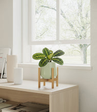 Load image into Gallery viewer, Turquoise stand:bamboo
