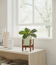 Load image into Gallery viewer, Turquoise stand:walnut

