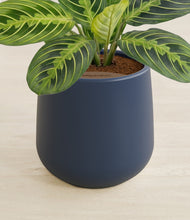 Load image into Gallery viewer, Twilight Blue stand:all

