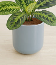 Load image into Gallery viewer, Misty Blue stand:all
