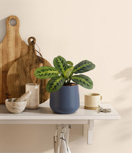 Load image into Gallery viewer, Deep Navy
