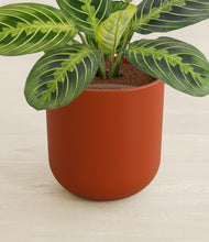 Load image into Gallery viewer, Earth Red stand:all

