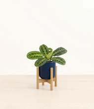 Load image into Gallery viewer, Twilight Blue stand:bamboo
