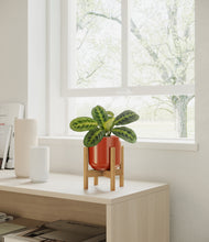Load image into Gallery viewer, Glossy Red stand:bamboo
