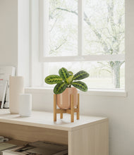 Load image into Gallery viewer, Glossy Pink stand:bamboo
