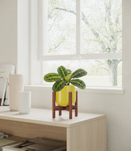 Load image into Gallery viewer, Key Lime Yellow stand:walnut

