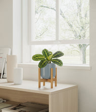 Load image into Gallery viewer, Misty Blue stand:bamboo
