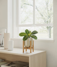 Load image into Gallery viewer, Sage Green stand:bamboo
