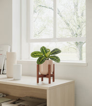 Load image into Gallery viewer, Sandy Pink stand:walnut

