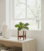 Load image into Gallery viewer, Natural Bamboo stand:walnut
