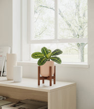 Load image into Gallery viewer, Sandy Pink stand:walnut
