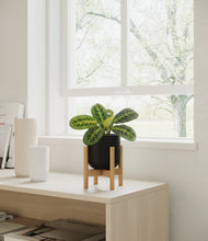 Load image into Gallery viewer, Stone Black stand:bamboo

