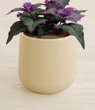 Load image into Gallery viewer, Almond Green stand:all
