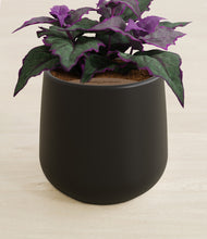 Load image into Gallery viewer, Black stand:all
