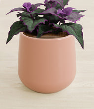 Load image into Gallery viewer, Calm Rose stand:all
