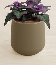 Load image into Gallery viewer, Olive stand:all
