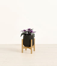 Load image into Gallery viewer, Black stand:bamboo
